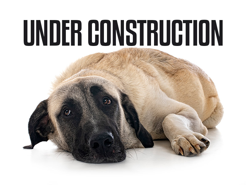 Under Construction